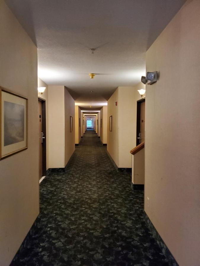 Bellis Inn Bellingham Esterno foto